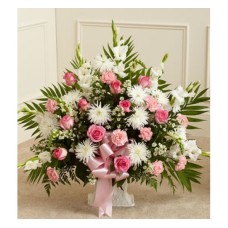 Tribute Pink&White (Basic)